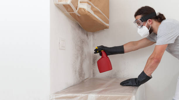 Professional Black Mold Remediation technician working in Riverside, NJ