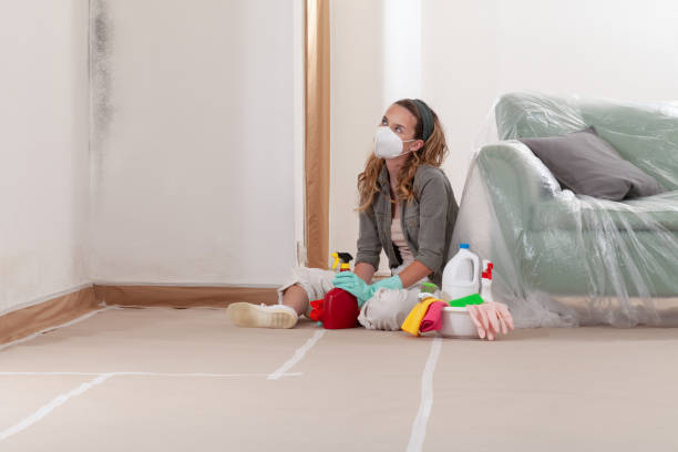 Reliable Black Mold Remediation contractor in Riverside, NJ by 24 Hour Mold Removal